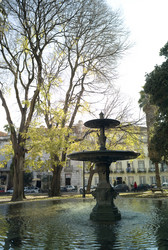 Similar image 7975196