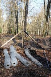 Similar image 7975201