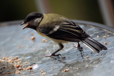 Similar image 7975202