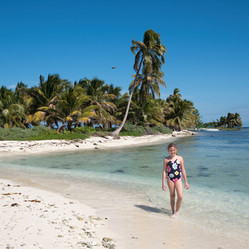 Similar image 7975204