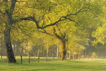 Similar image 7975215