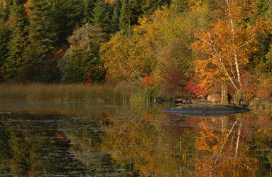 Similar image 7975217