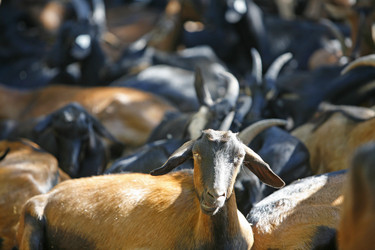 Similar image 7975219