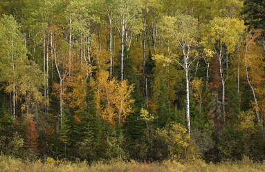 Similar image 7975222