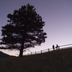 Similar image 7975224