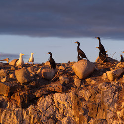 Similar image 7975227