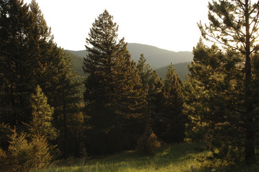 Similar image 7975235