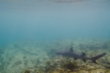 Similar image 7975240