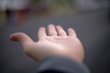 Similar image 7975242