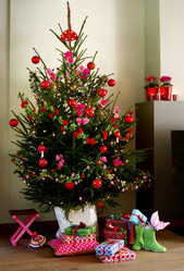 Similar image 7975245