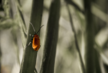 Similar image 7975248