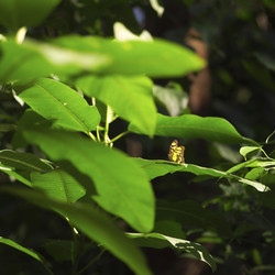 Similar image 7975251