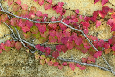 Similar image 7975253