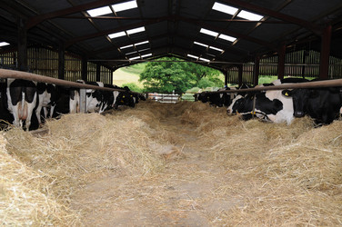 Similar image 7975267