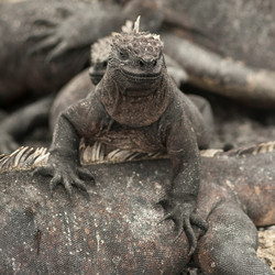 Similar image 7975272