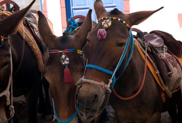 Similar image 7975277