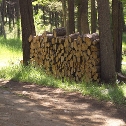 Similar image 7975278