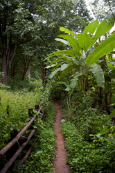 Similar image 7975279