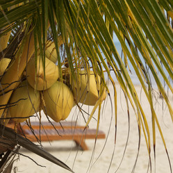 Similar image 7975280