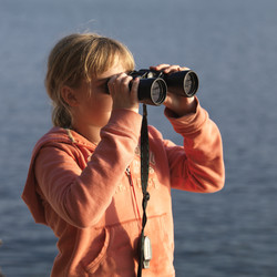 Similar image 7975285