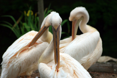 Similar image 7975287