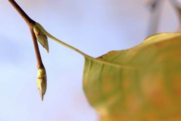 Similar image 7975292