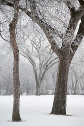 Similar image 7975294