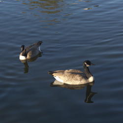 Similar image 7975295