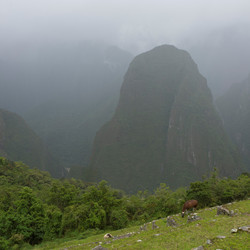 Similar image 7975297