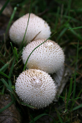 Similar image 7975305