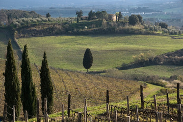 Similar image 7975316