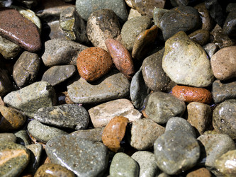 Similar image 7975319