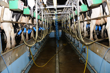 Similar image 7975328