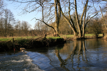 Similar image 7975333