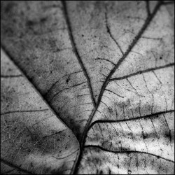 Similar image 7975336