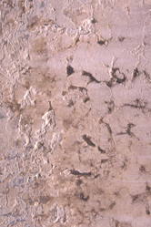 Similar image 7975347