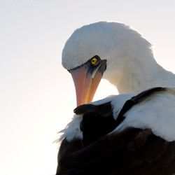 Similar image 7975353