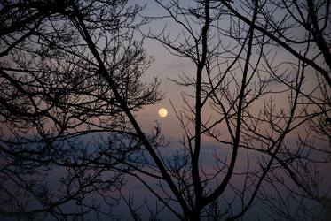 Similar image 7975357