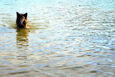 Similar image 7975360