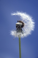 Similar image 7975376