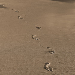 Similar image 7975377