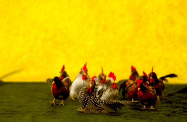 Similar image 7975382