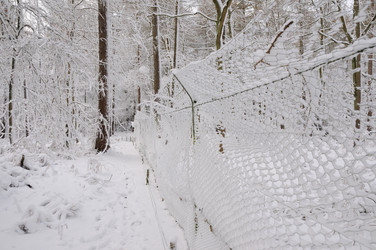 Similar image 7975386