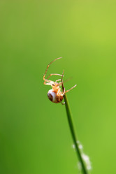 Similar image 7975393