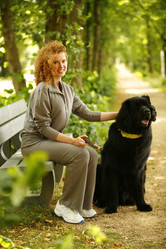 Similar image 7975398