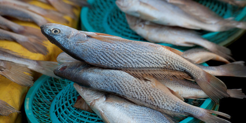 Similar image 7975439