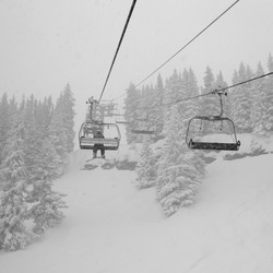 Similar image 7975442