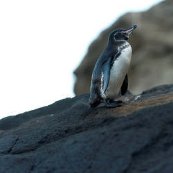 Similar image 7975458