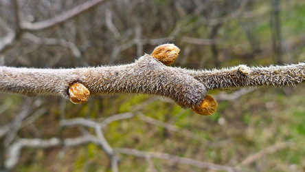 Similar image 7975459