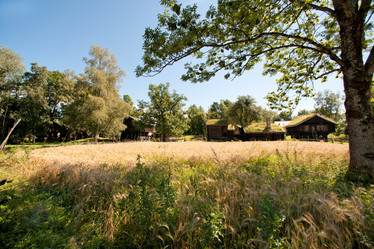 Similar image 7975462